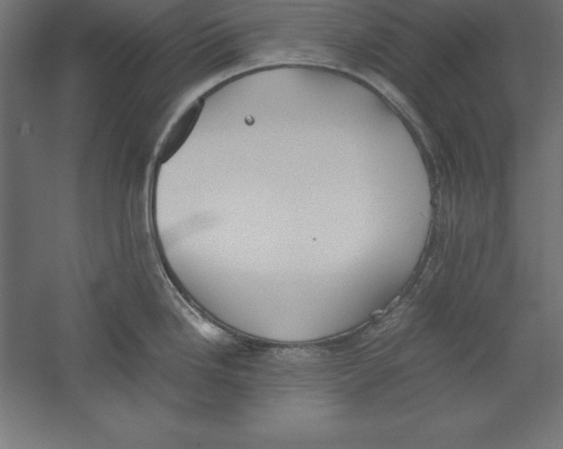 X0000060261246200511241419