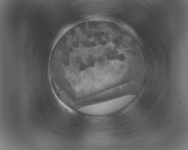 X0000060261247200511241419