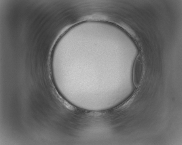 X0000060261248200511241419