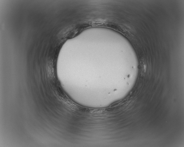 X0000060261252200511241418