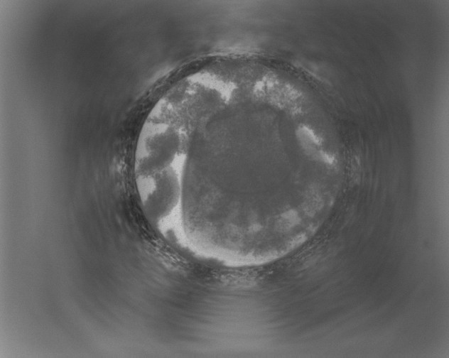 X0000060261254200511241418