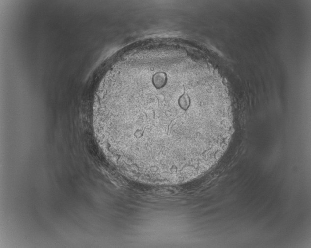 X0000060261255200511241418