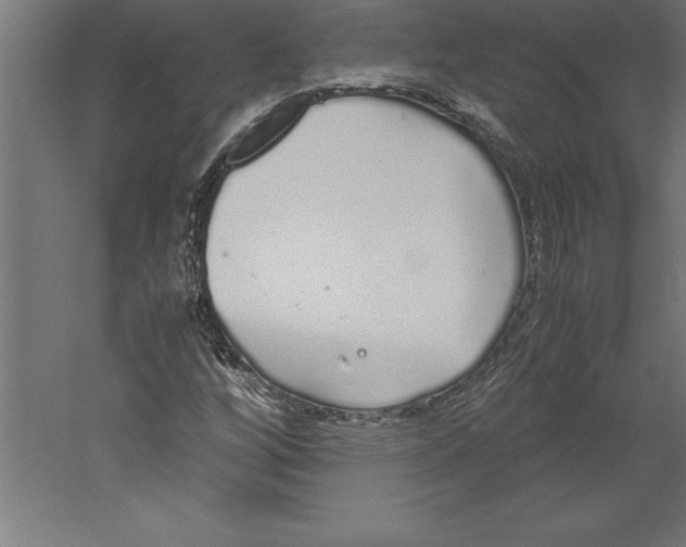 X0000060261256200511241418