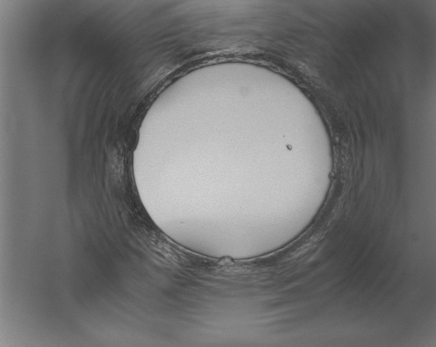 X0000060261257200511241418