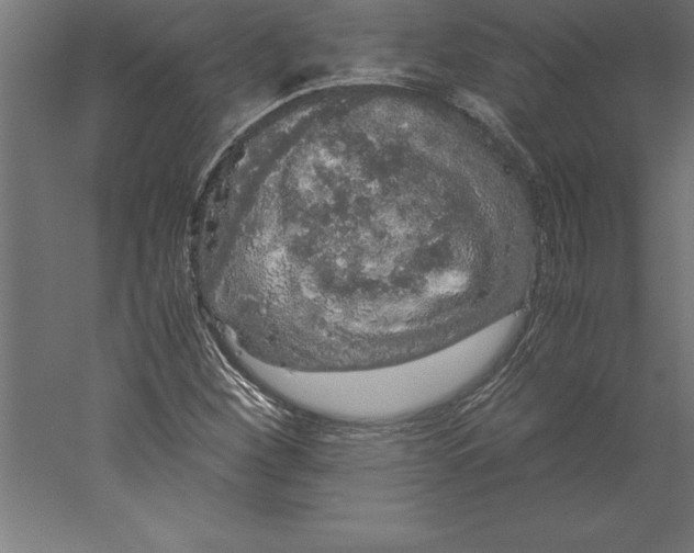 X0000060261260200511241418