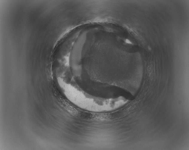 X0000060261262200511241418