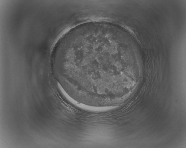 X0000060261263200511241418