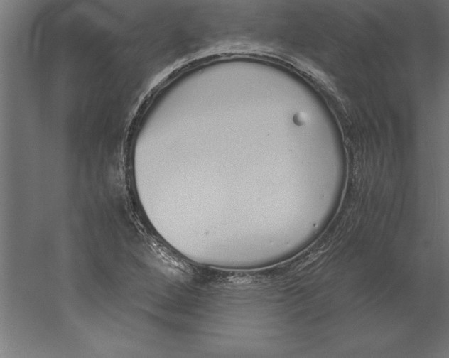 X0000060261264200511241418