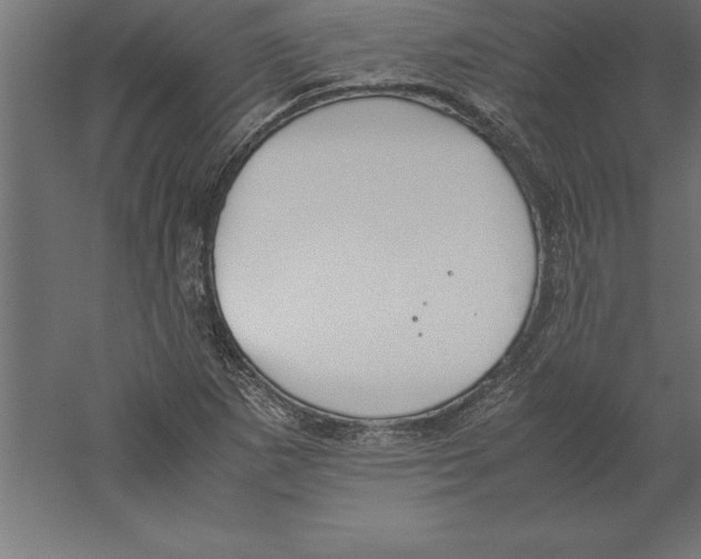 X0000060261265200511241418