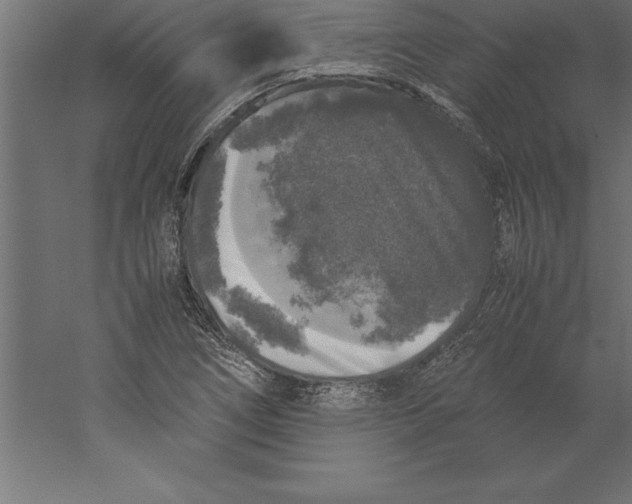 X0000060261266200511241418