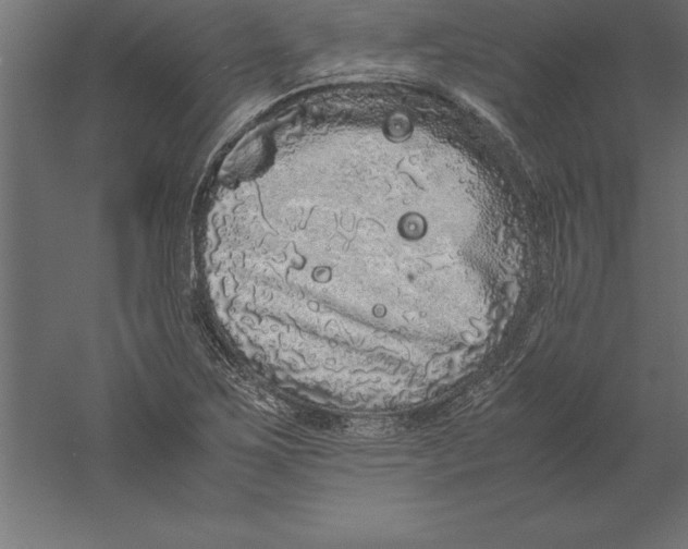 X0000060261267200511241418