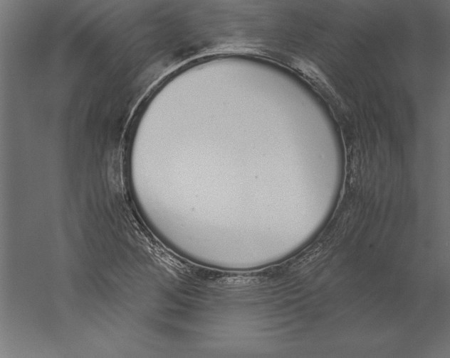 X0000060261268200511241418