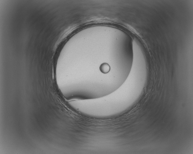 X0000060261269200511241418