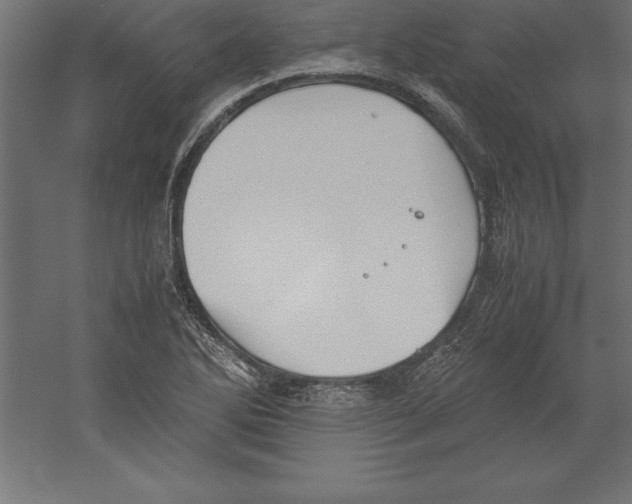 X0000060261270200511241418