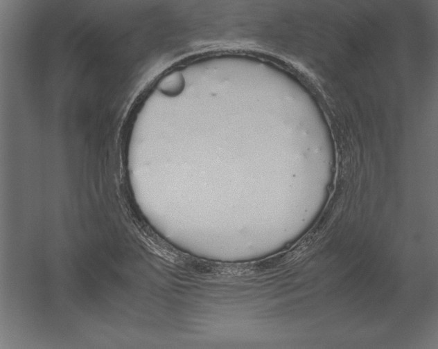 X0000060261271200511241418