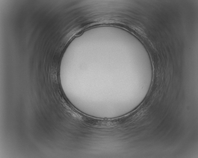 X0000060261273200511241418