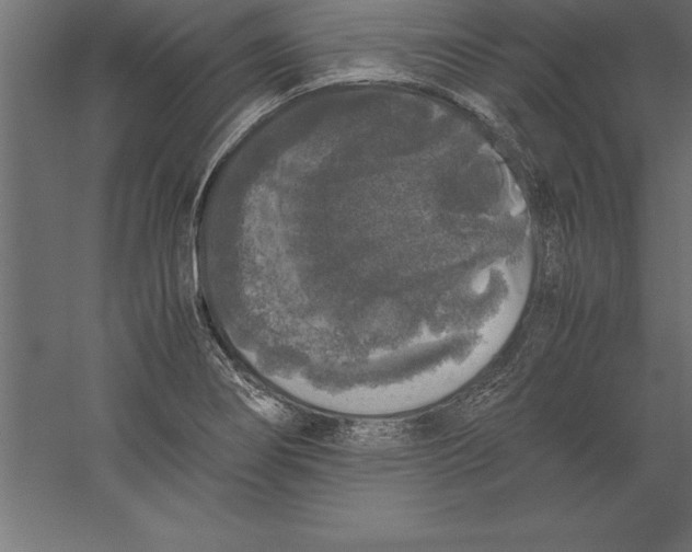 X0000060261274200511241418