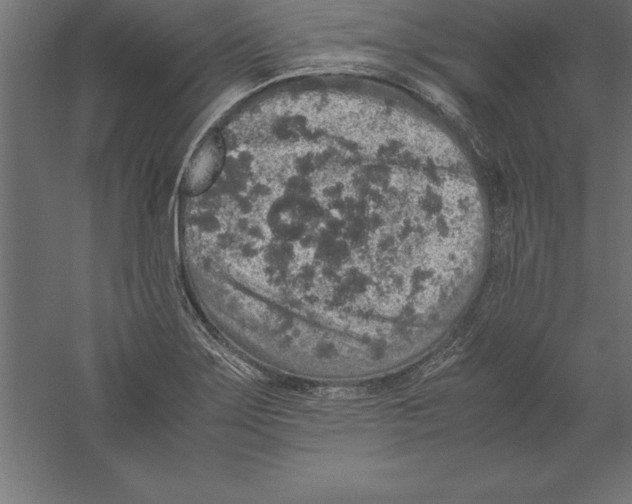 X0000060261275200511241418