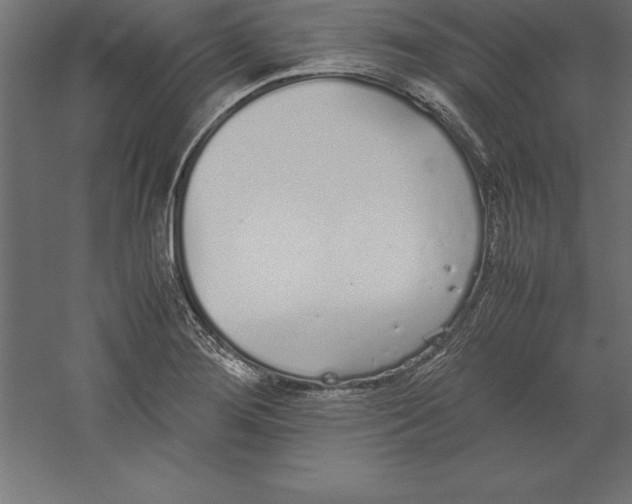 X0000060261276200511241418