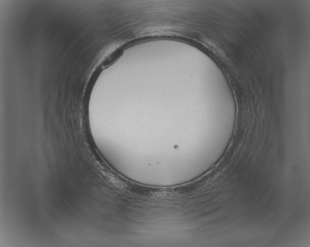 X0000060261277200511241418