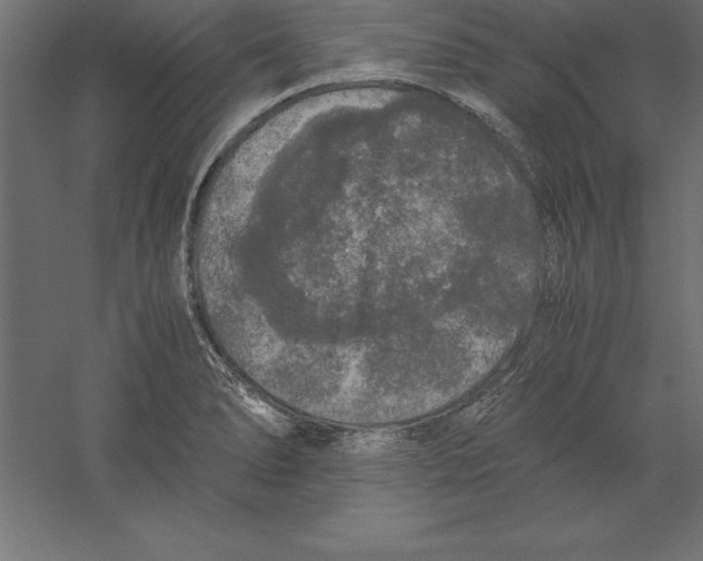 X0000060261278200511241418