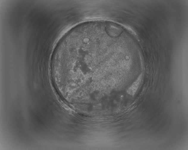 X0000060261279200511241418