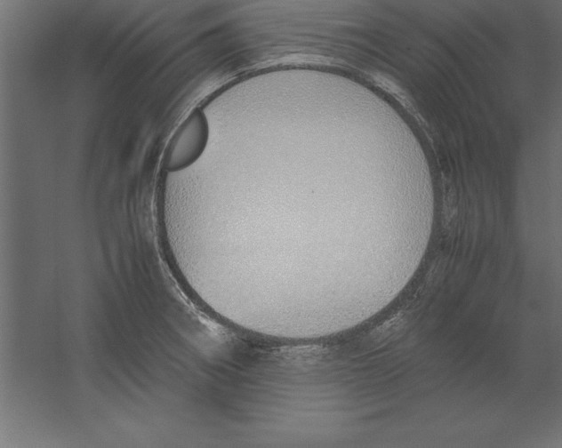 X0000060261282200511241417