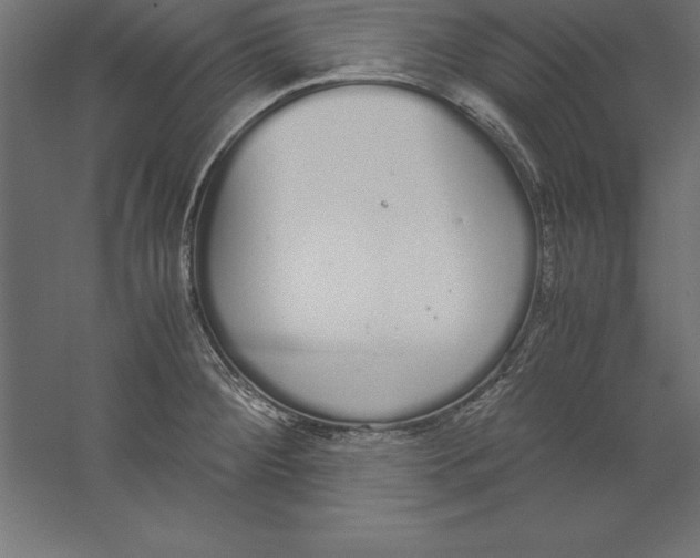 X0000060261284200511241417