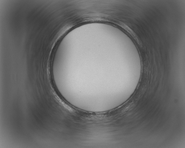 X0000060261285200511241417