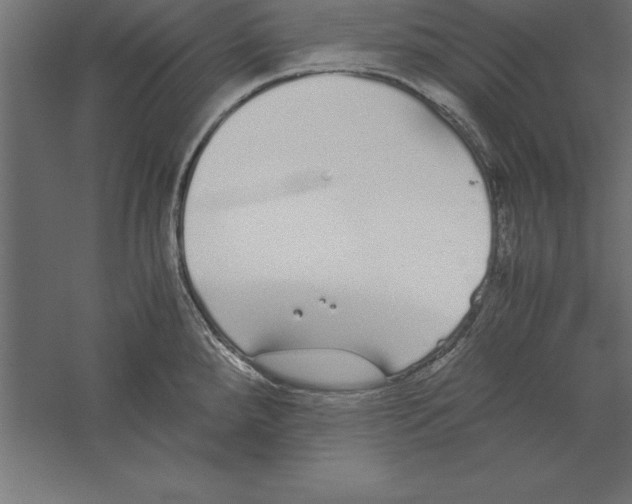 X0000060261288200511241417