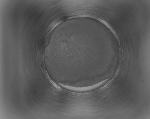 X0000060261289200511241417