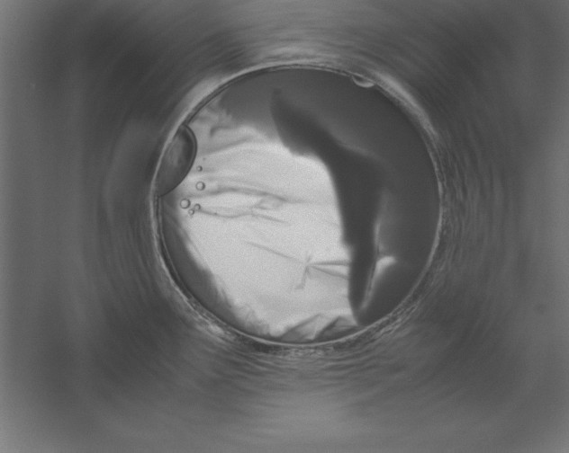 X0000060261291200511241417