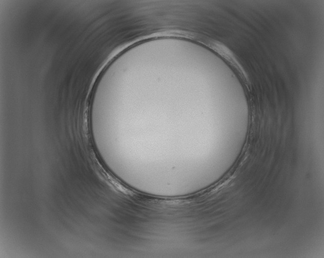 X0000060261292200511241417