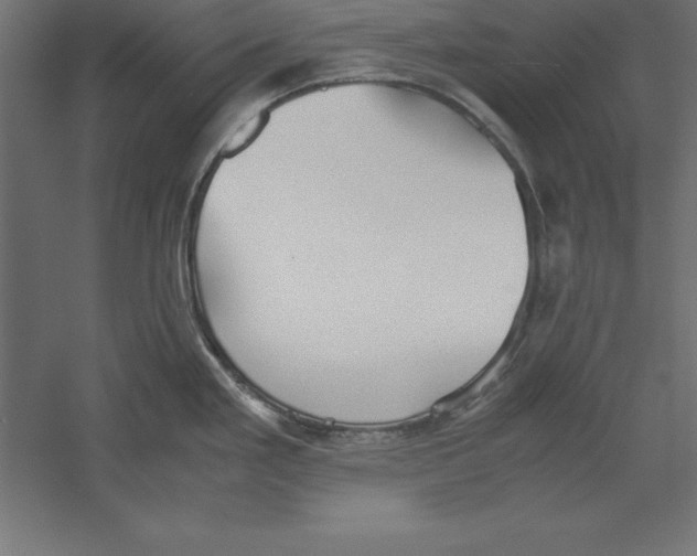 X0000060261293200511241417