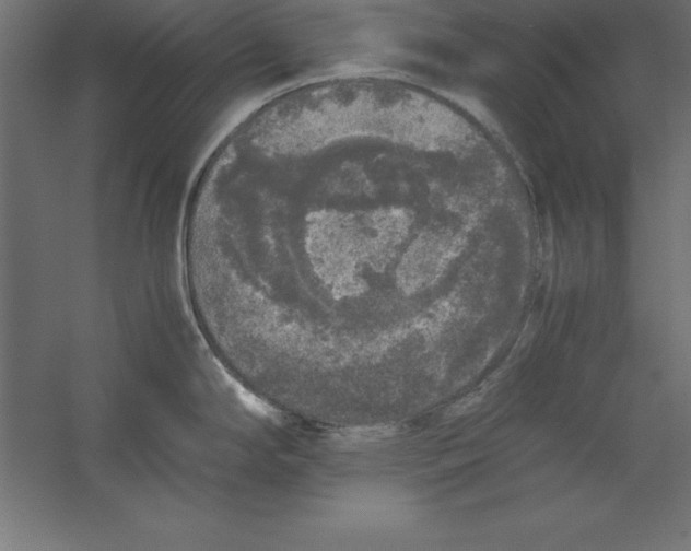 X0000060261294200511241417