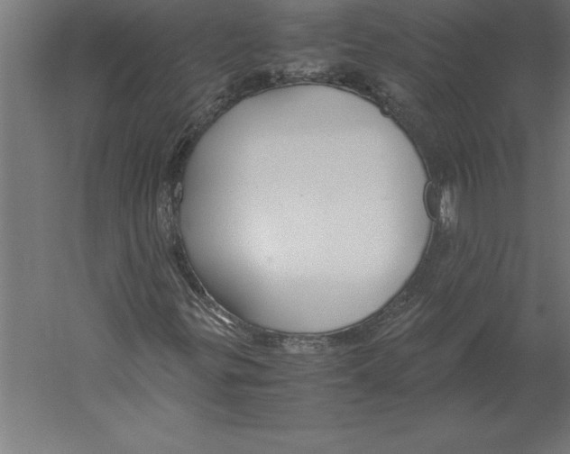 X0000060261299200511241416