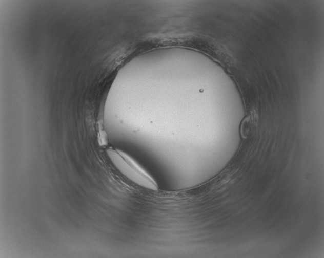 X0000060261300200511241416