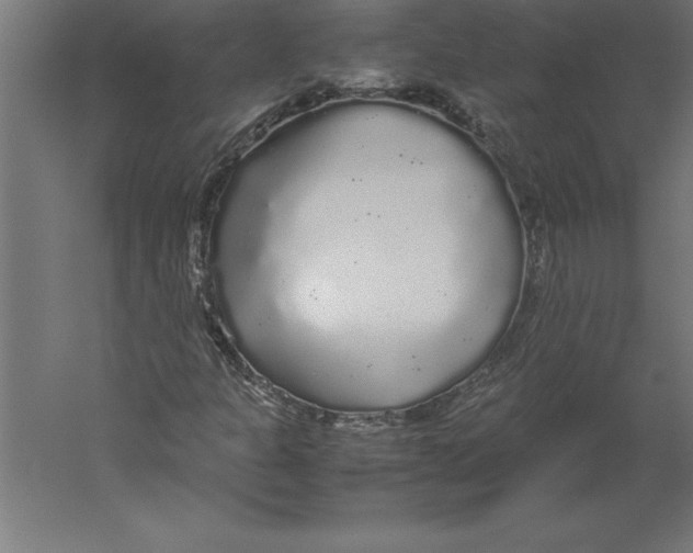 X0000060261301200511241416