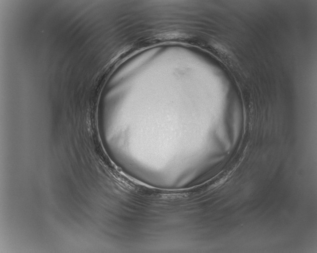 X0000060261305200511241416