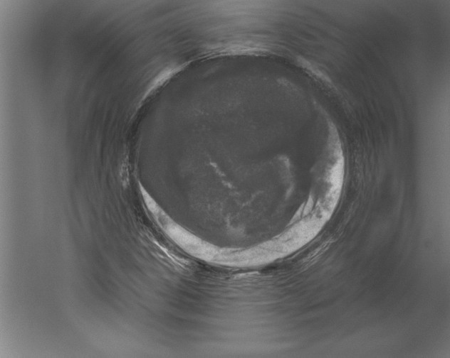 X0000060261306200511241417