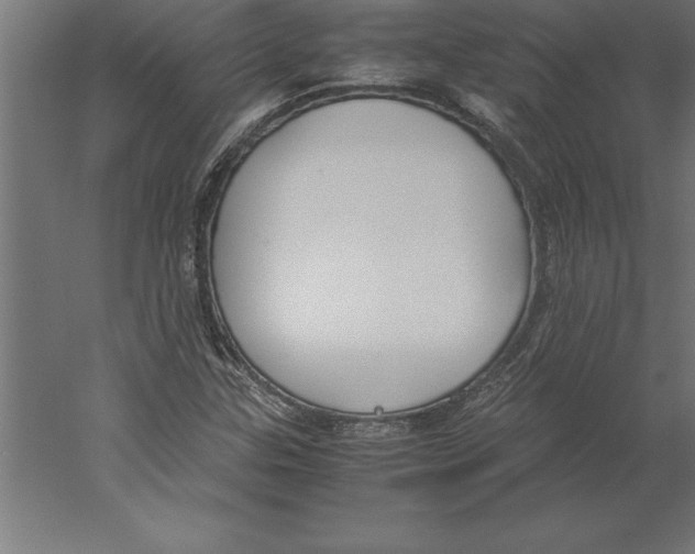 X0000060261307200511241417