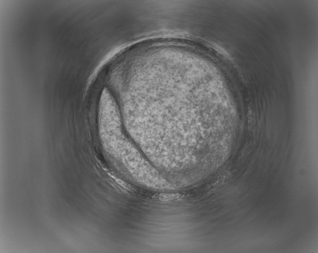 X0000060261310200511241417