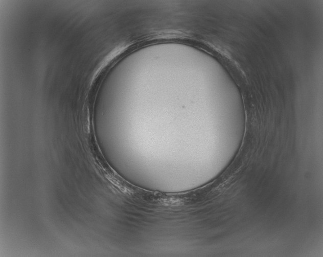 X0000060261317200511241417