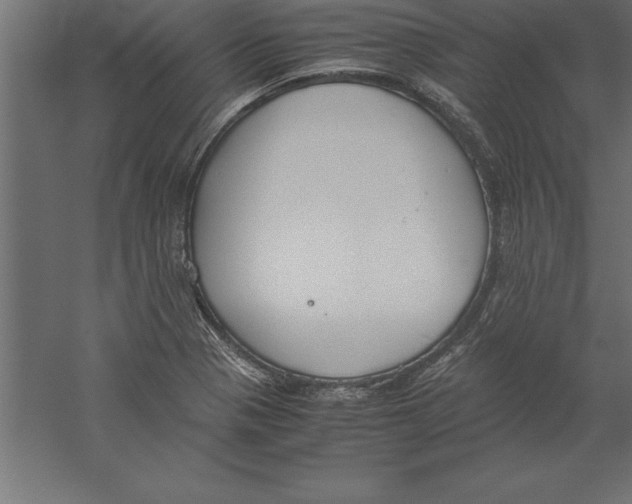 X0000060261321200511241417