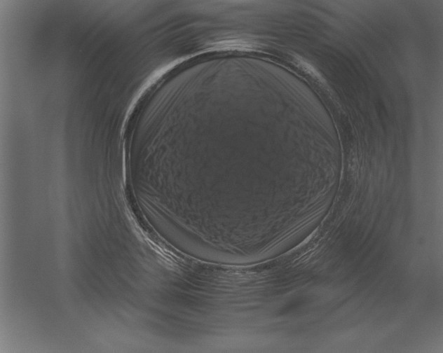 X0000060261323200511241417