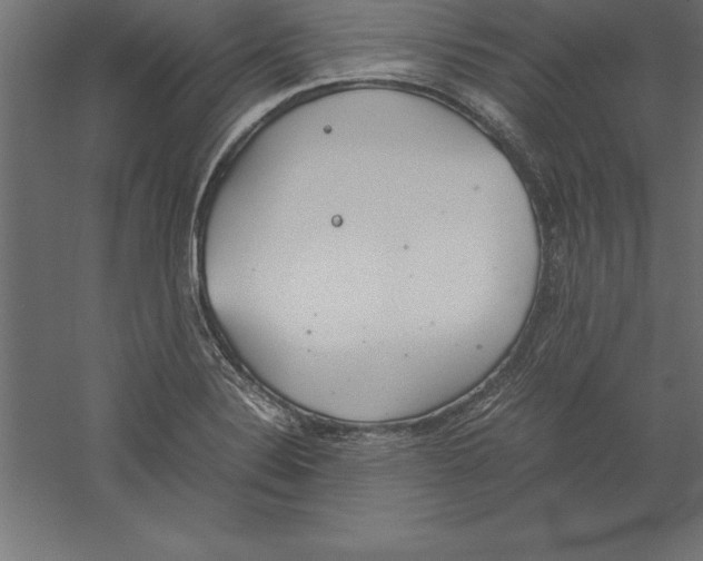 X0000060261324200511241417