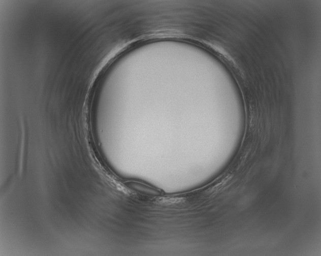 X0000060261325200511241417