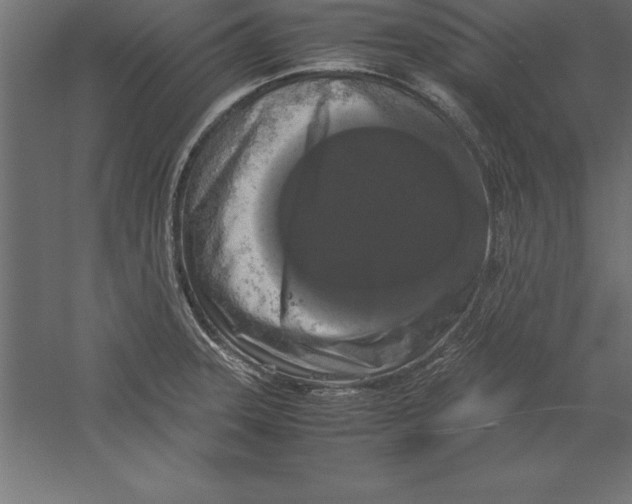 X0000060261331200511241417