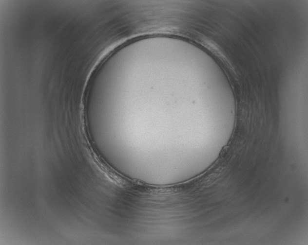 X0000060261332200511241417