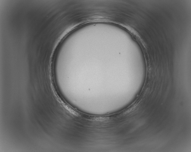 X0000060261333200511241417